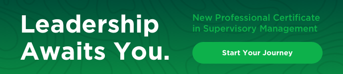 Leadership development