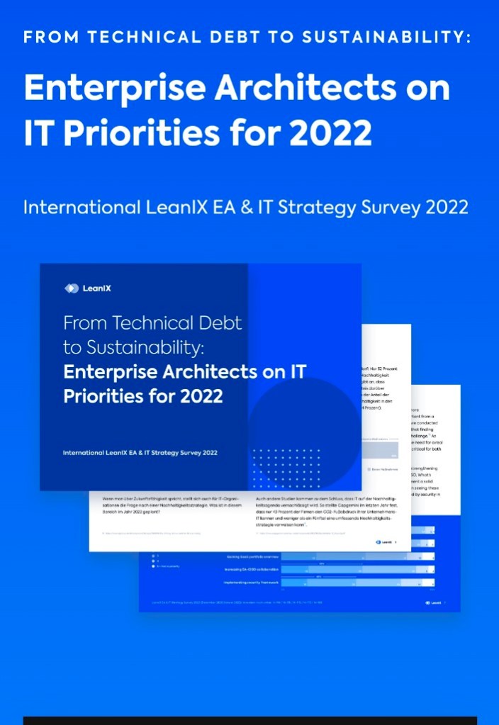 Enterprise architect